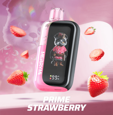 MERRY MI PANDA X 40000 PUFF