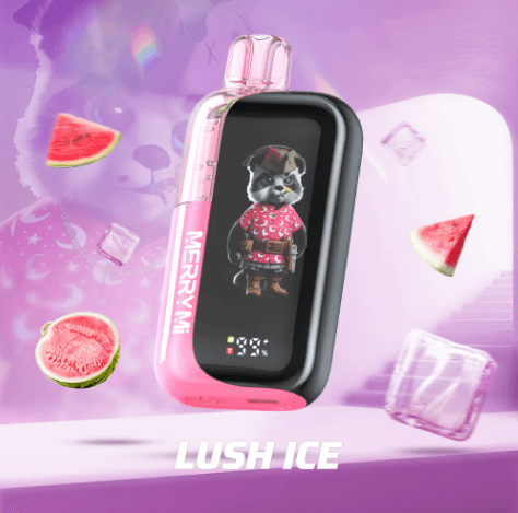 MERRY MI PANDA X 40000 PUFF